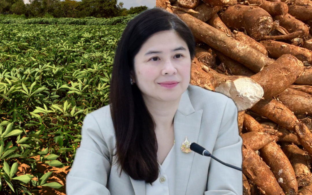 “พาณิชย์”นำทัพเอกชน นักวิชาการ บุกขายมันสำปะหลังตลาดซาอุดิอาระเบีย