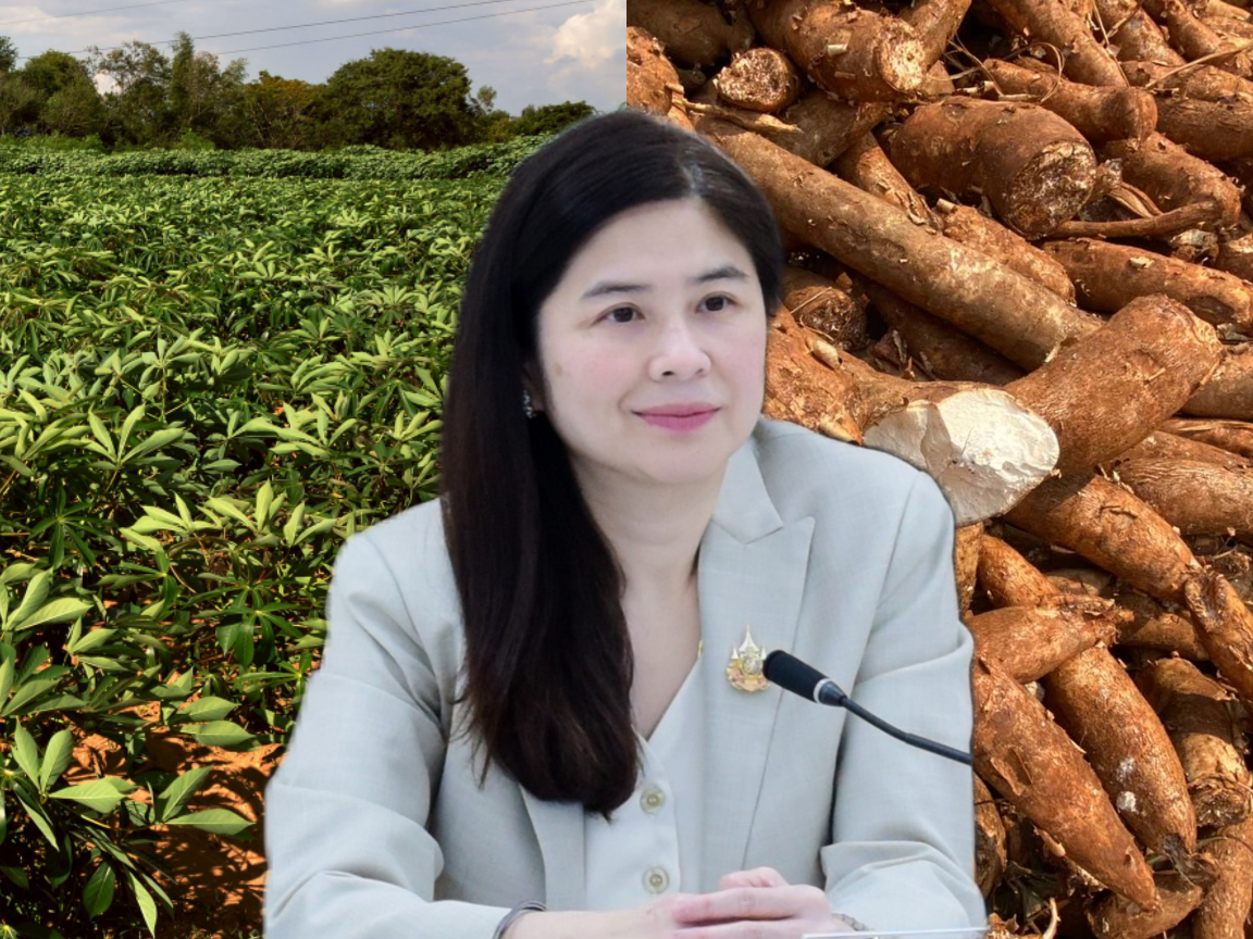 “พาณิชย์”นำทัพเอกชน นักวิชาการ บุกขายมันสำปะหลังตลาดซาอุดิอาระเบีย